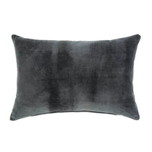 Load image into Gallery viewer, Velvet Pillow 16x24 - by Indaba