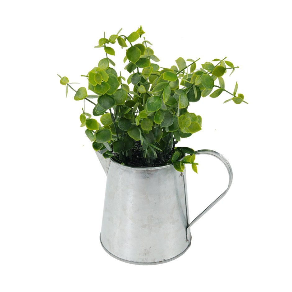 Plant In Watering Can