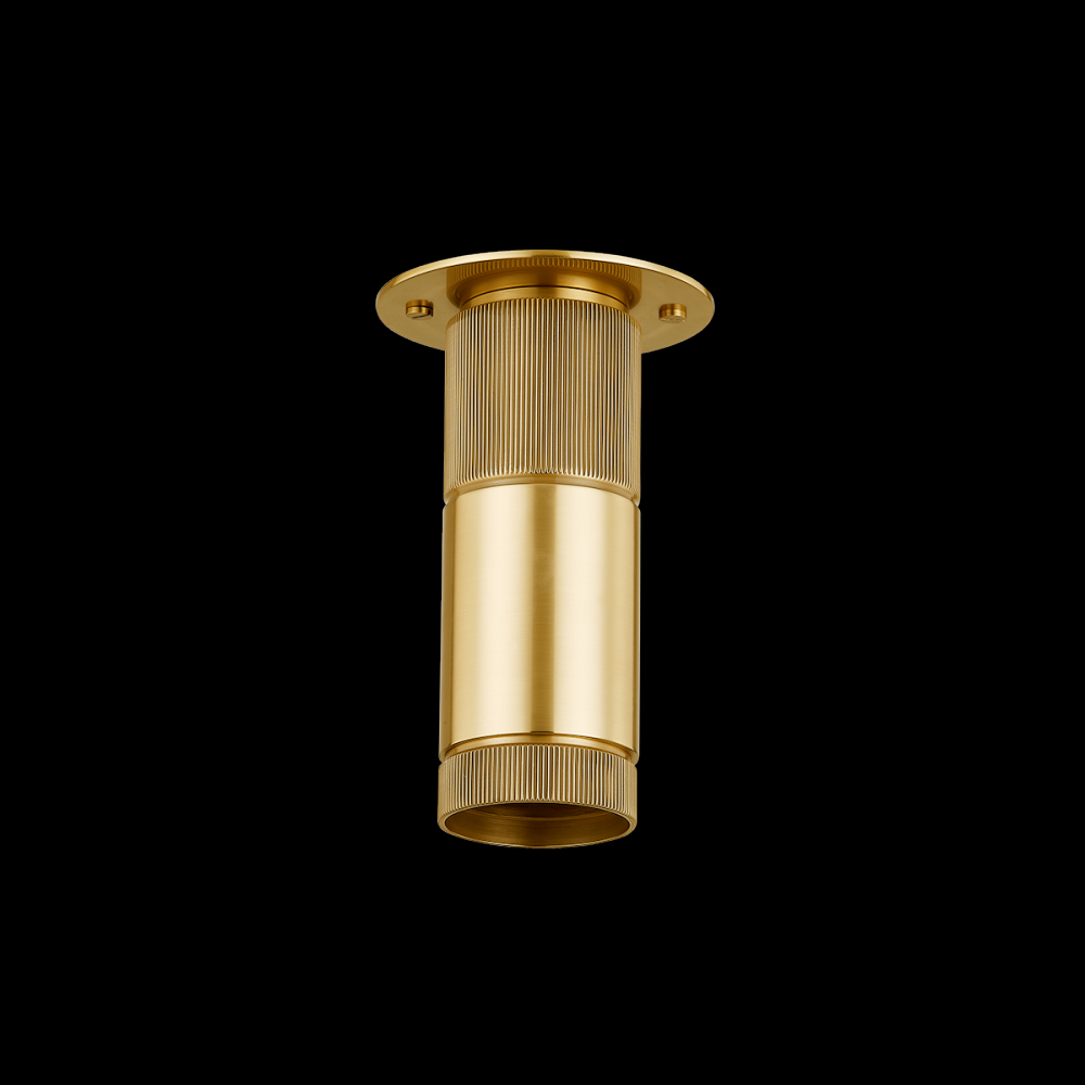 DIGHTON FLUSH MOUNT