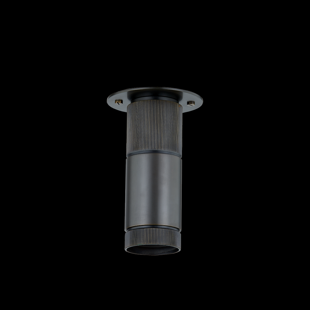 DIGHTON FLUSH MOUNT
