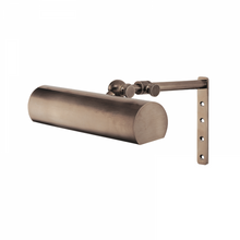 Load image into Gallery viewer, 1 LIGHT PICTURE LIGHT WITH PLUG