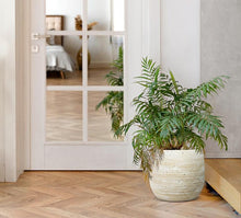 Load image into Gallery viewer, XL - Terrain Pot by Abbott