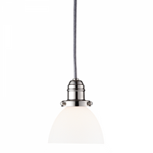 Load image into Gallery viewer, 1 LIGHT PENDANT