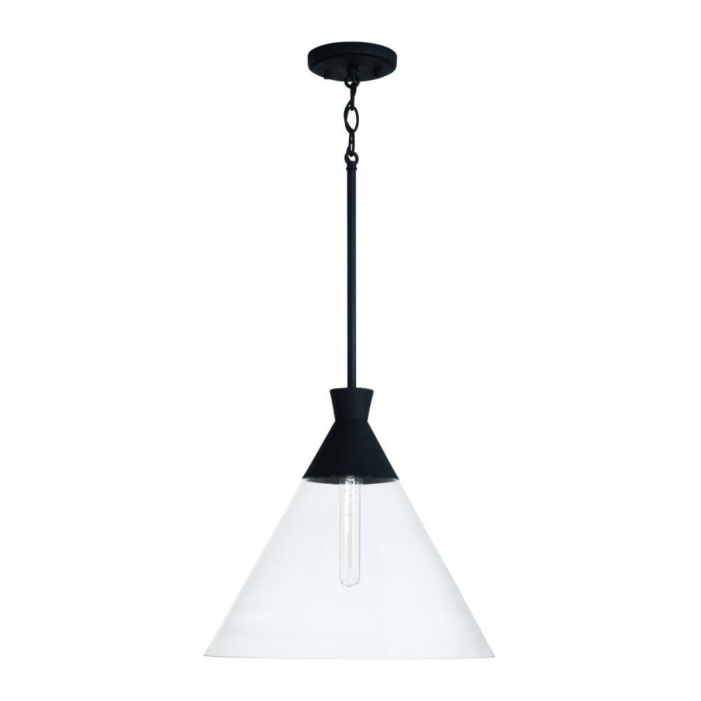 1-Light Pendant
