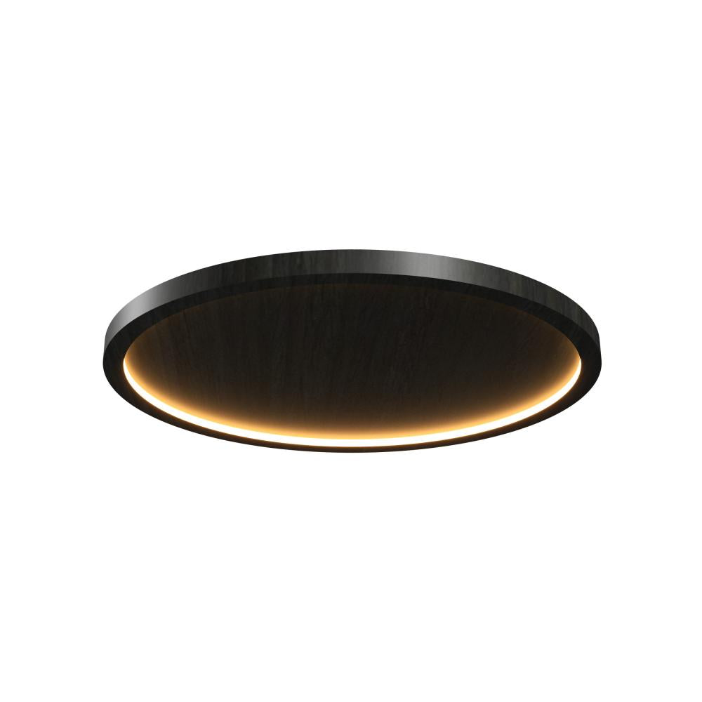 Nai??? Accord Ceiling 5095 LED