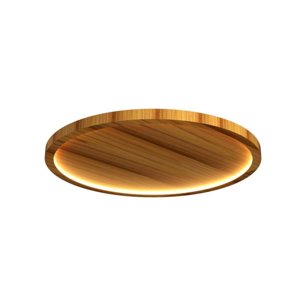 Nai??? Accord Ceiling 5096 LED