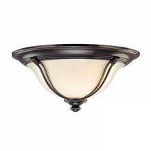 Load image into Gallery viewer, 3 LIGHT FLUSH MOUNT