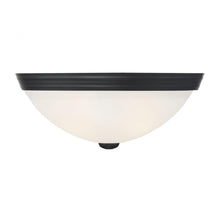 Load image into Gallery viewer, 2-Light Ceiling Light in Matte Black