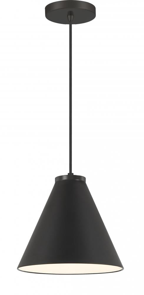 1 Light Pendant