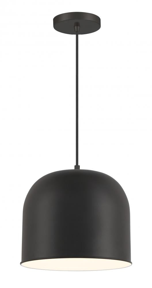 1 Light Pendant