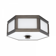 Load image into Gallery viewer, 1 LIGHT FLUSH MOUNT