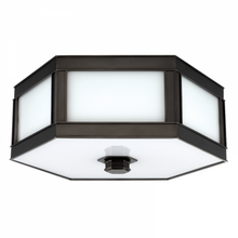 Load image into Gallery viewer, 3 LIGHT FLUSH MOUNT