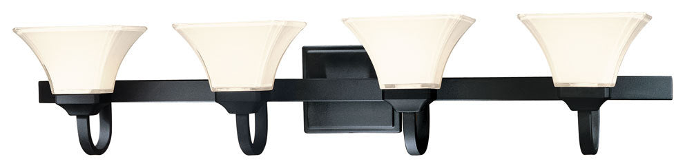 Agilis?????- 4 Light Bath