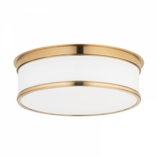 Load image into Gallery viewer, Geneva Flush Mount