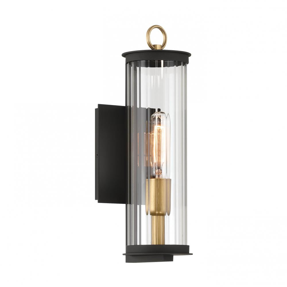 Cara 14" High 1-Light Outdoor Wall Sconce