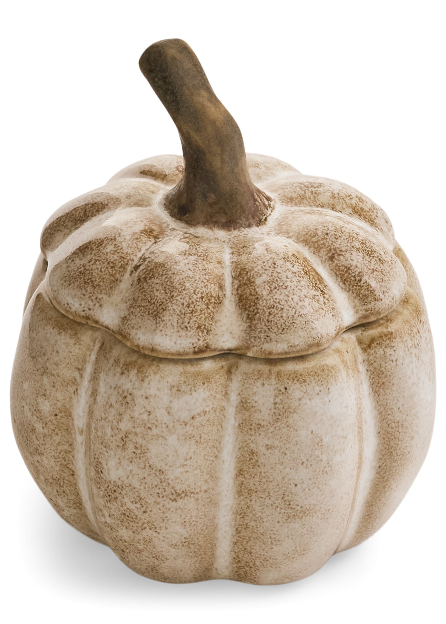 Jar With Lid Pumpkin Shape Stoneware Beige Brown