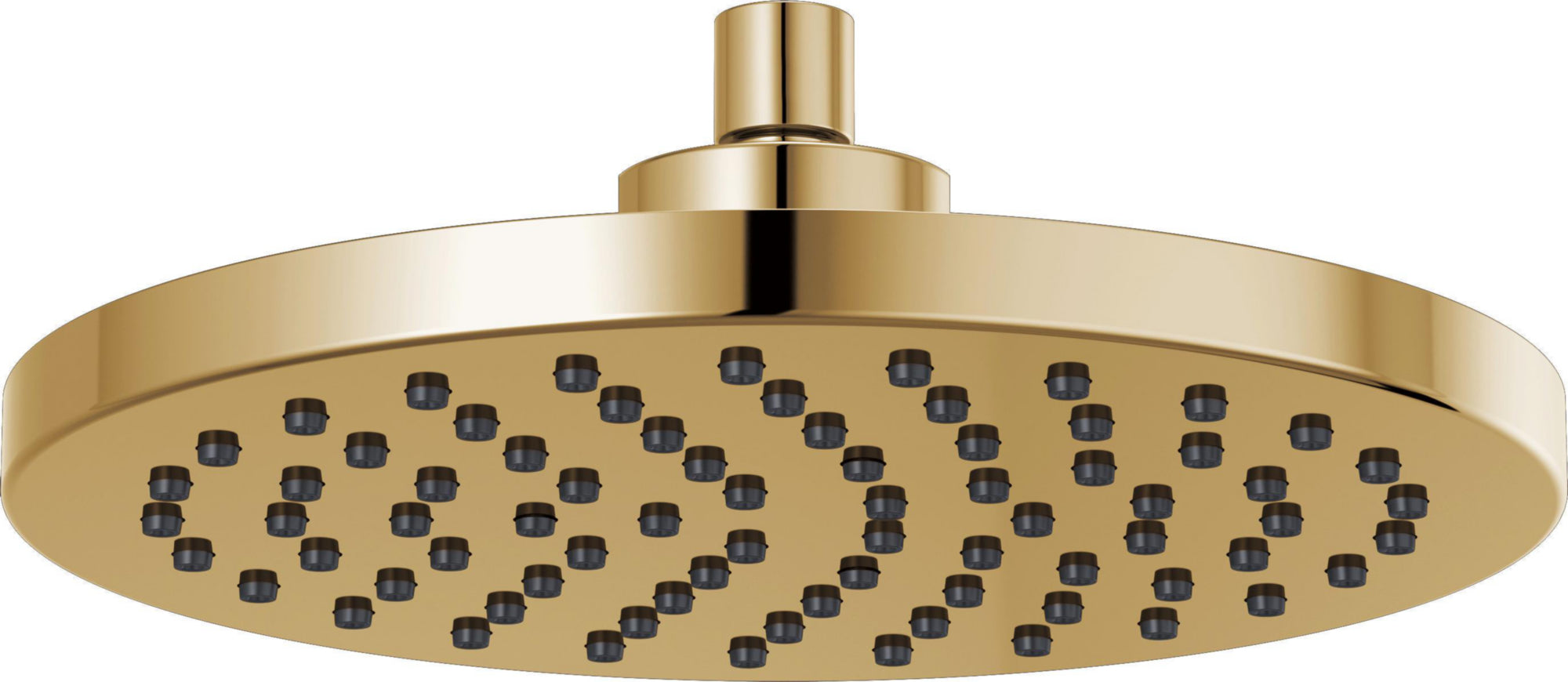 RAINCAN SHOWERHEAD