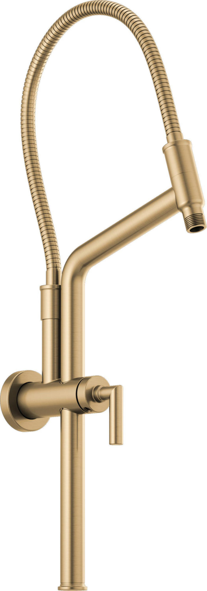 SLIDEBAR SHOWER ARM & FLANGE