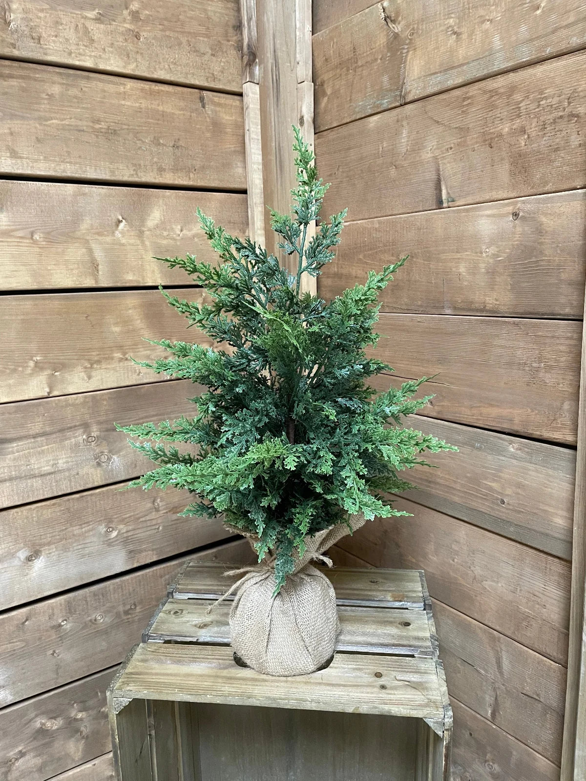22" FRESH TOUCH EASTERN RED CEDAR TREE WITH BURLAP BASE
