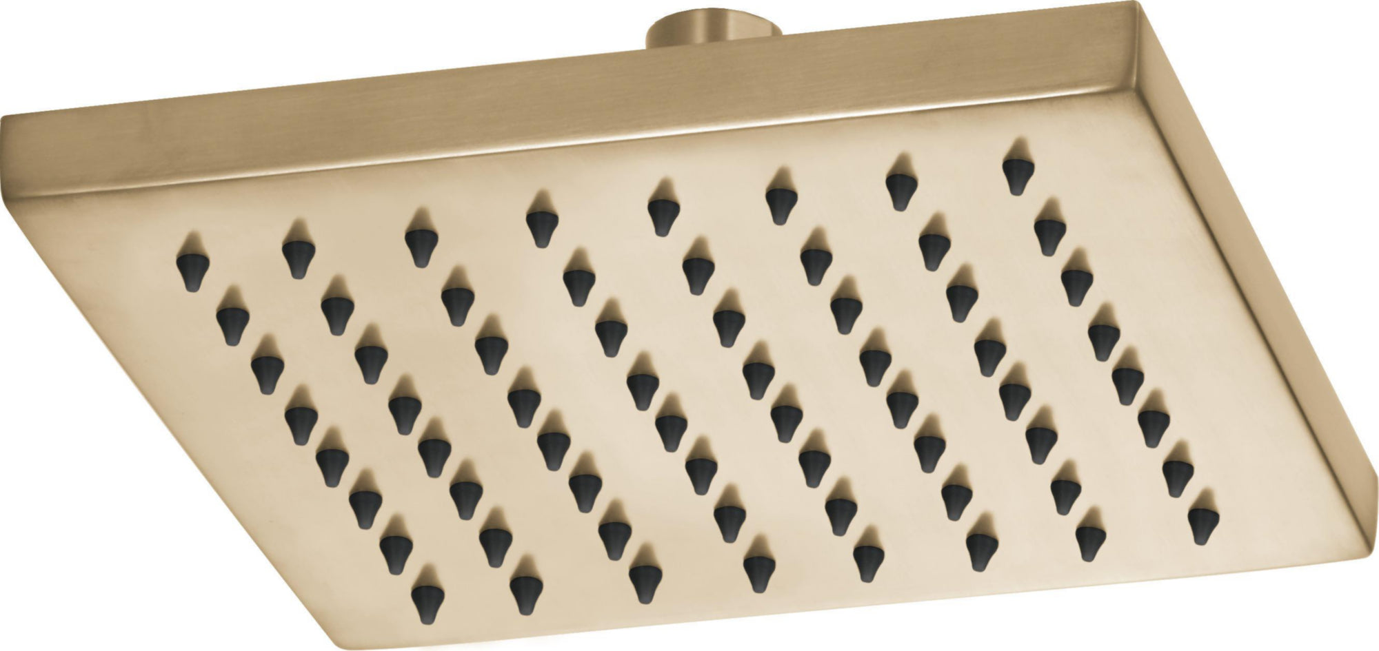 CEILING MOUNT RAINCAN SHOWER HEAD