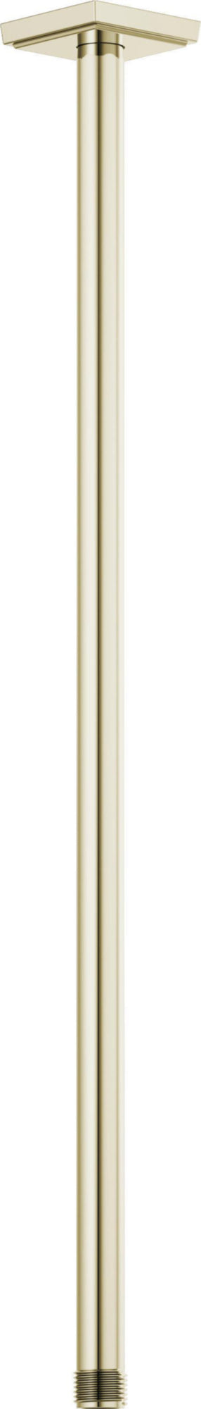 24" CEILING MOUNT SHOWER ARM & FLANGE