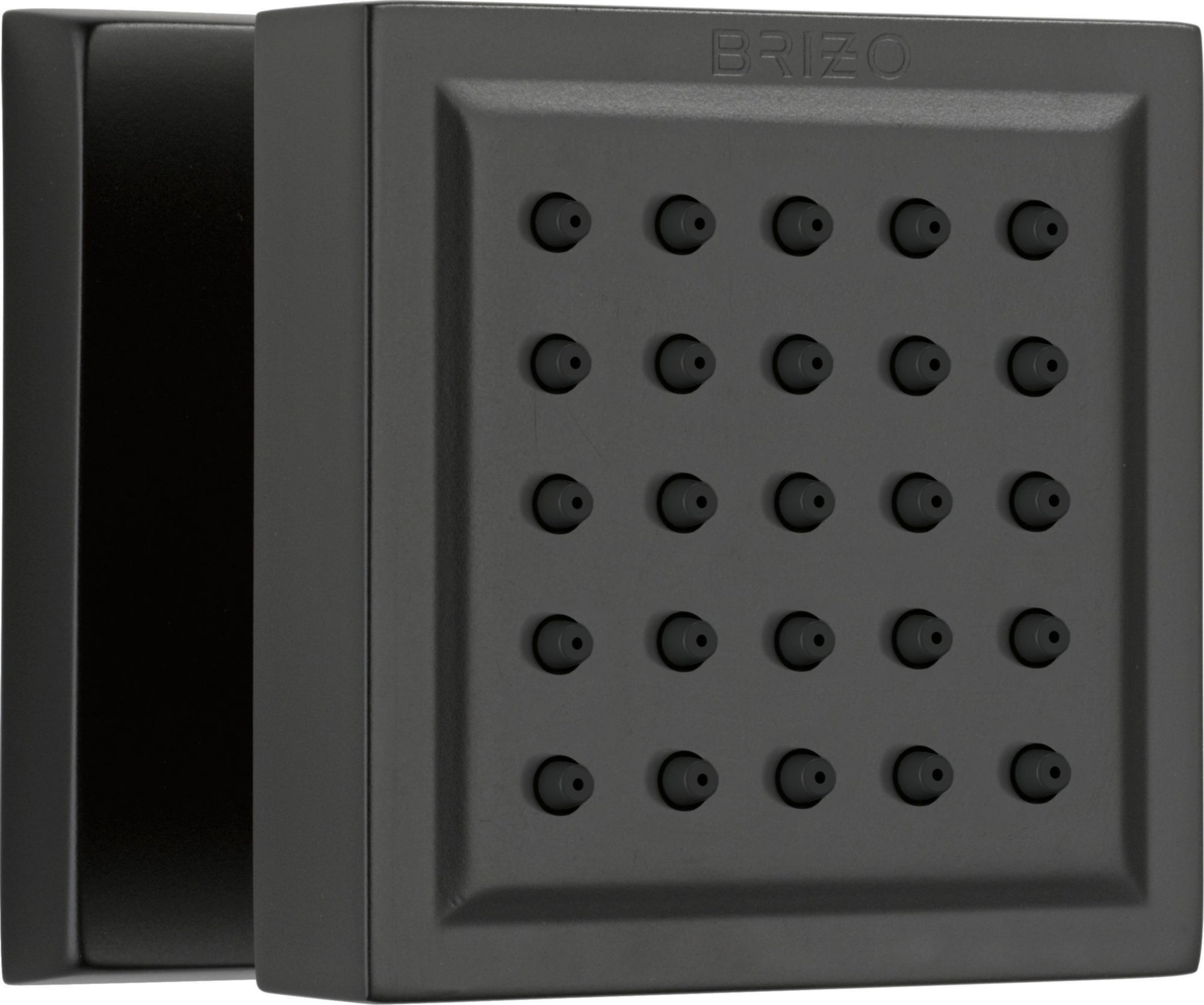 BRIZO: TOUCH-CLEAN(R) BODY SPRAY TRIM AND ROUGH