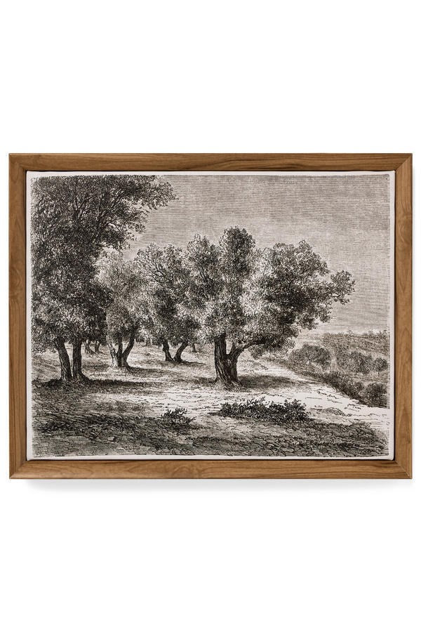Wall Art Framed Canvas Print Olive Trees Multiple