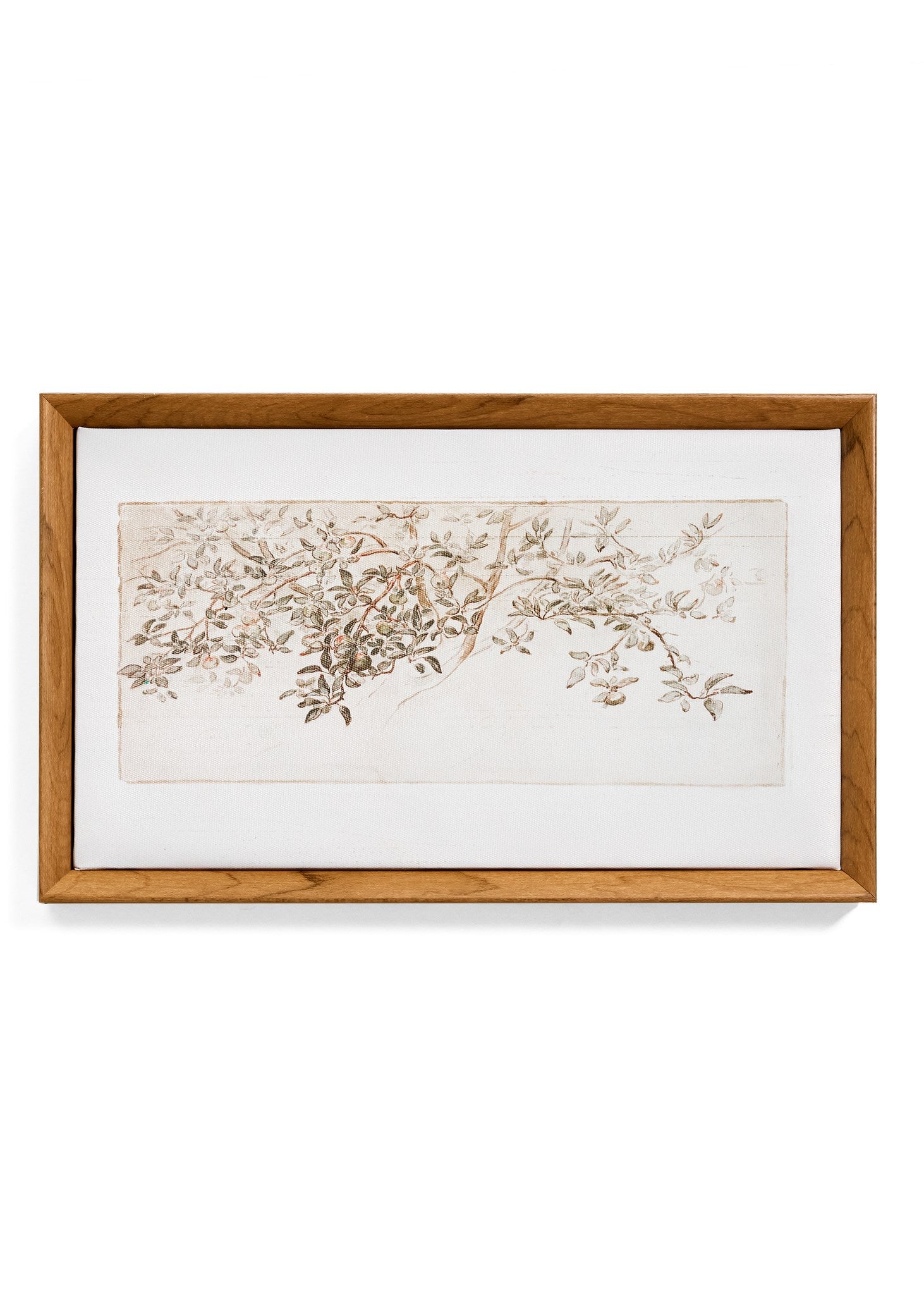 Wall Wart Framed Canvas Print Apple Tree