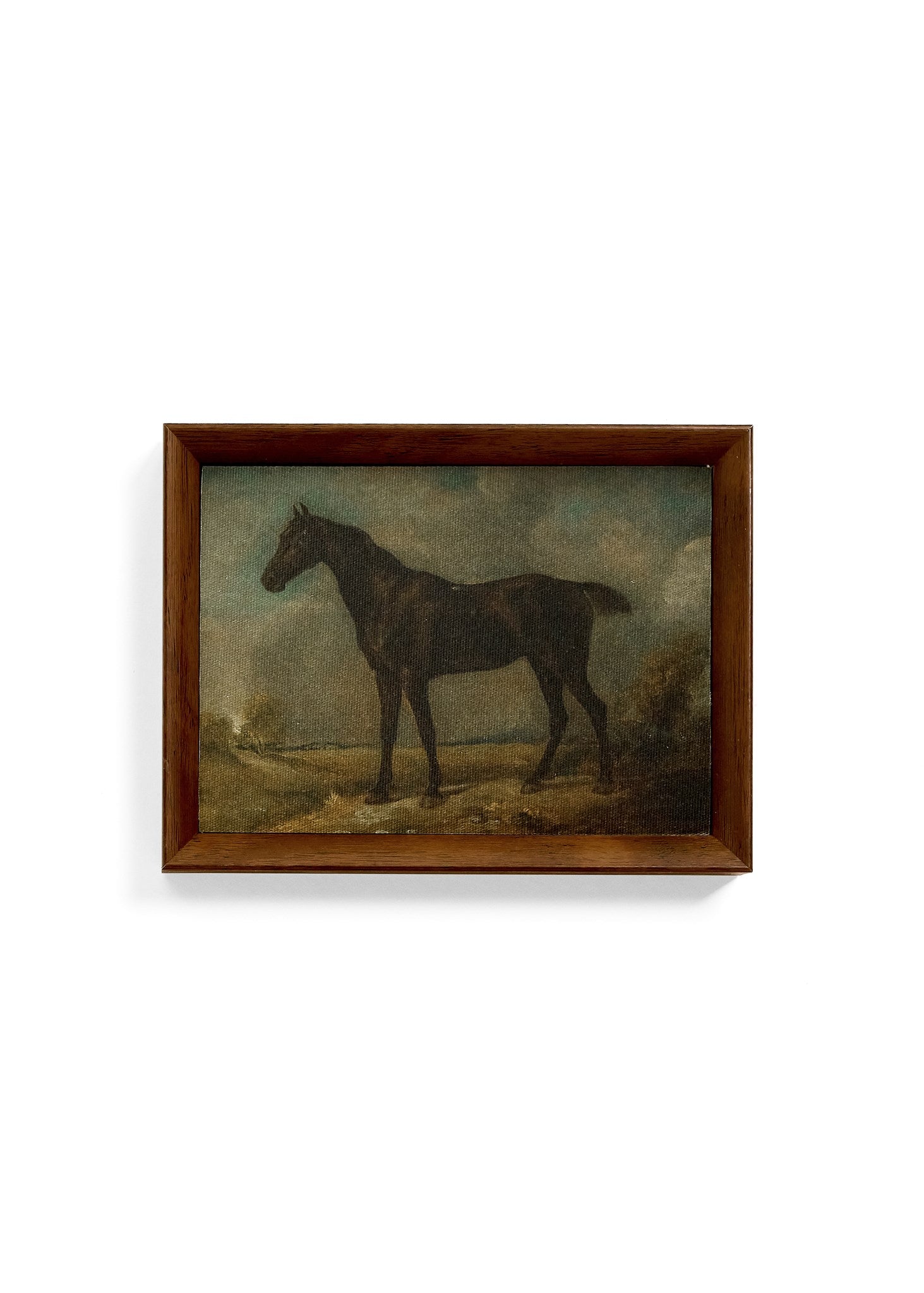Wall Art Framed Canvas Horse