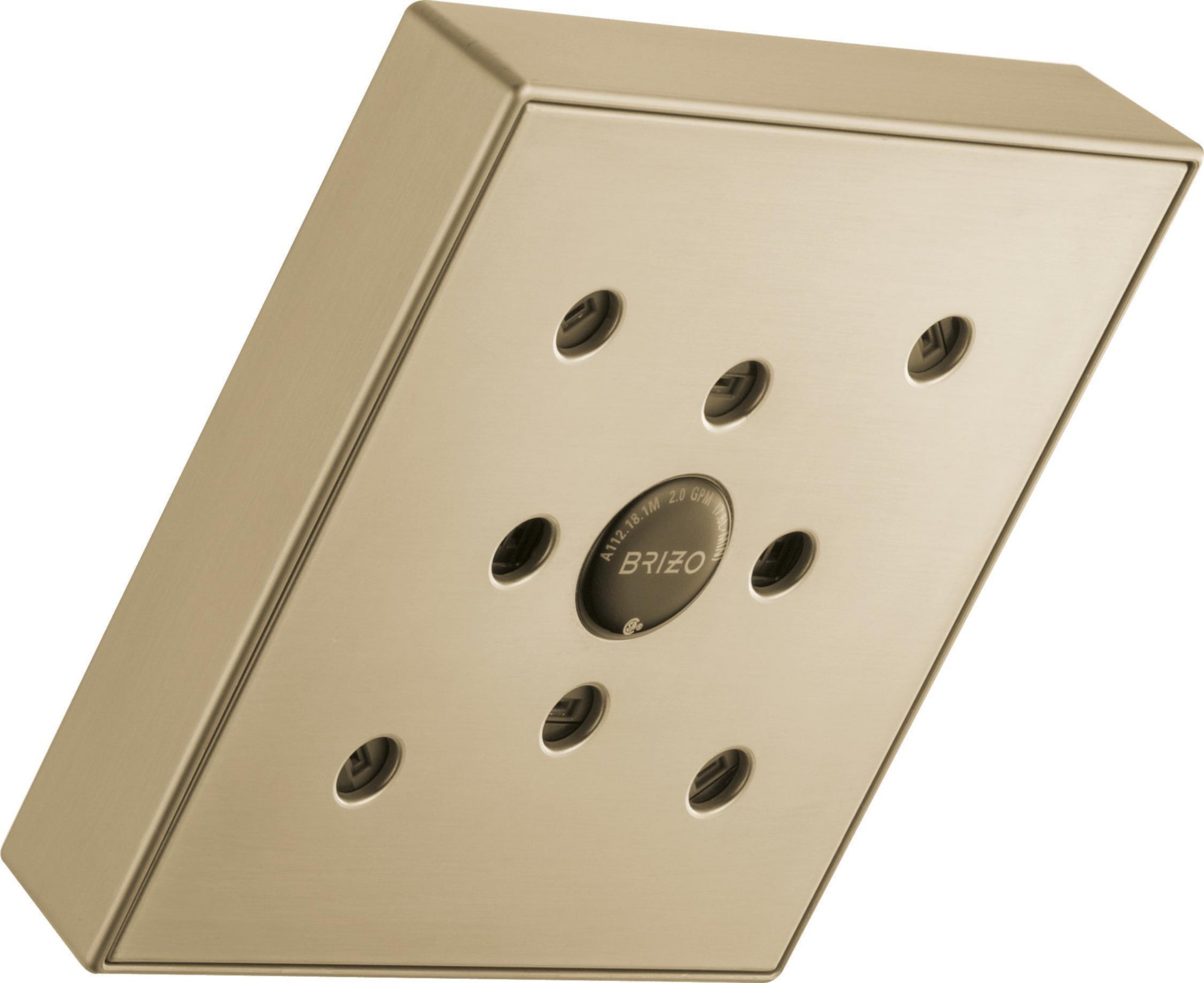 RAINCAN SHOWERHEAD WITH H2OKINETIC TECHNOLOGY
