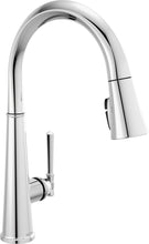 Load image into Gallery viewer, SHIELDSPRAY PULL-DOWN KITCHEN FAUCET 1L