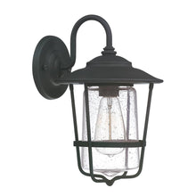 Load image into Gallery viewer, 1 Light Outdoor Wall Lantern