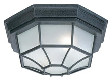 Load image into Gallery viewer, 2 Light Outdoor Flush Mount