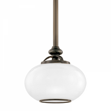 Load image into Gallery viewer, 1 LIGHT PENDANT