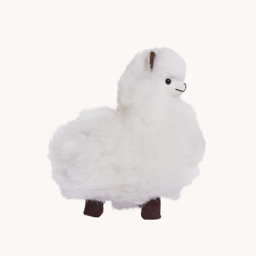Alpaca Fur Standing Alpaca