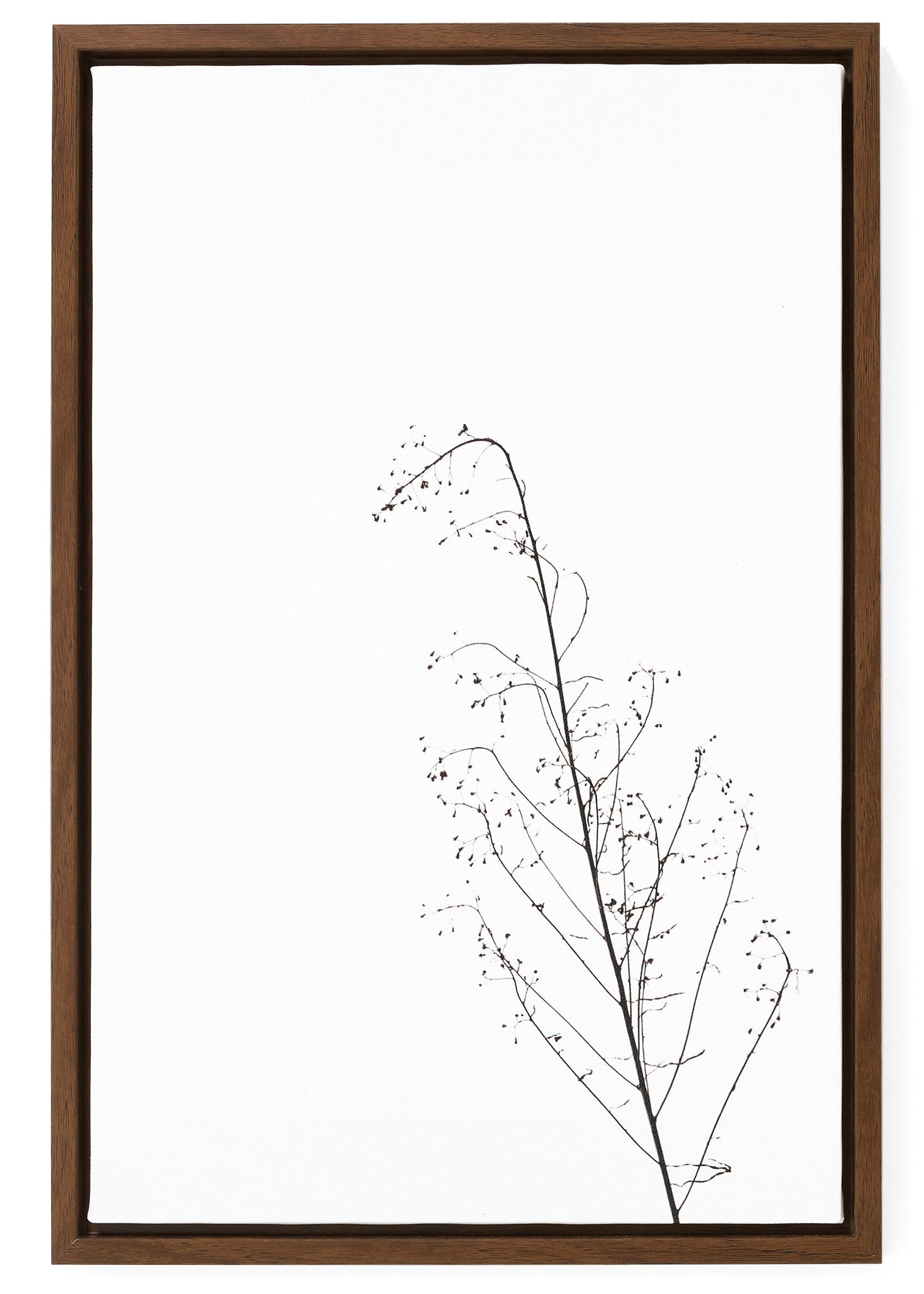 Wall Art Framed Canvas Print Branch
