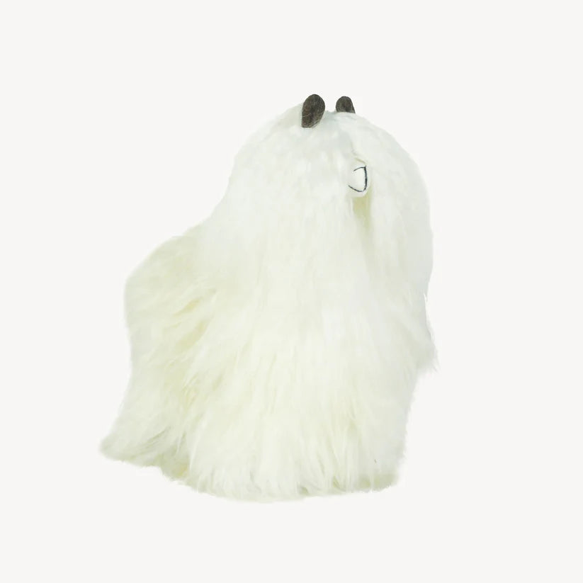 Alpaca Fur Standing Suri Alpaca