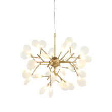 Load image into Gallery viewer, Hydragea Bloom Chandeliers-C69824 - by Matteo Lighting