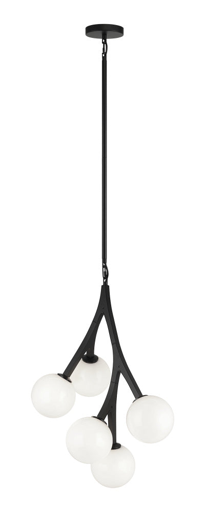 Rami Chandelier