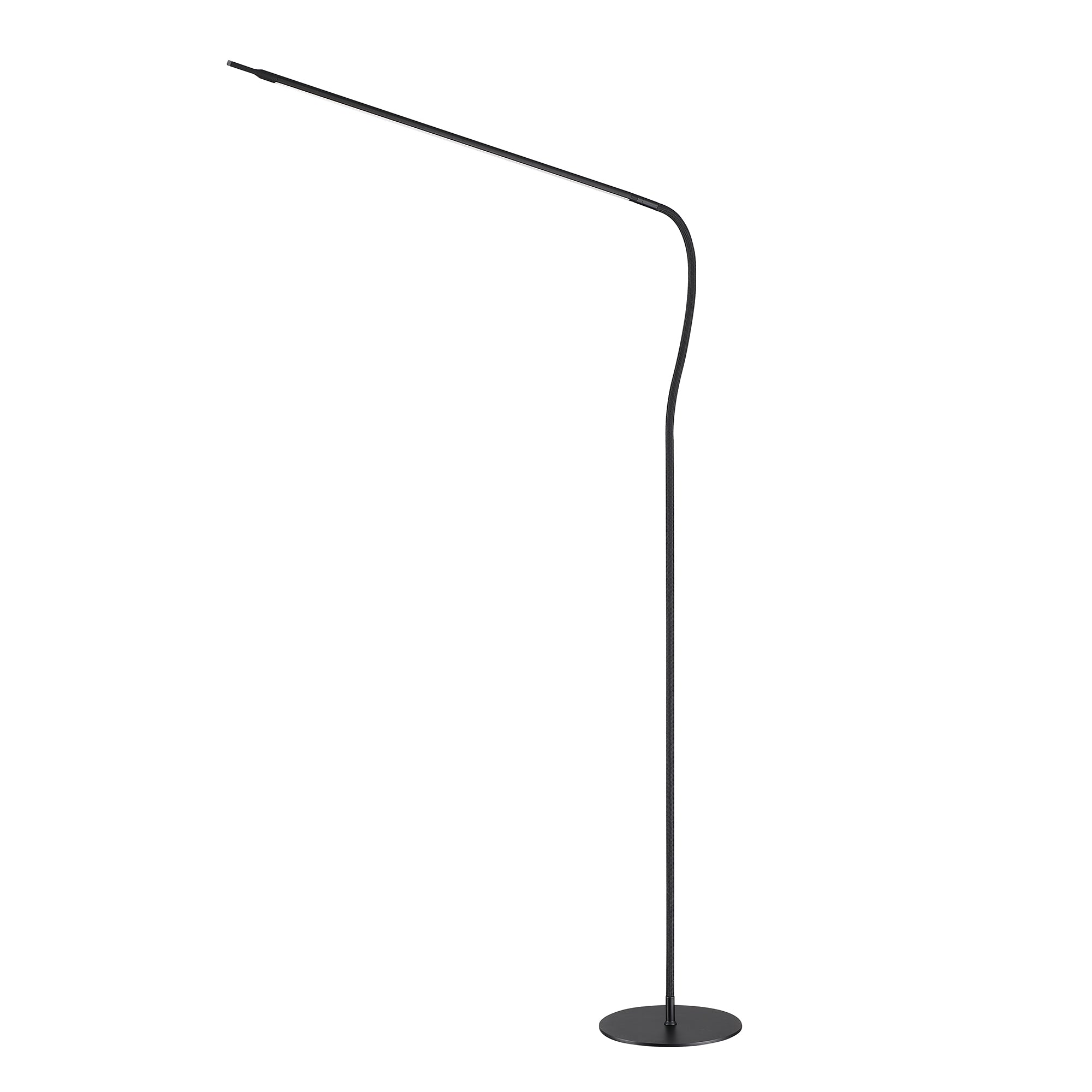 QUOR Black Floor Lamp - Default Title