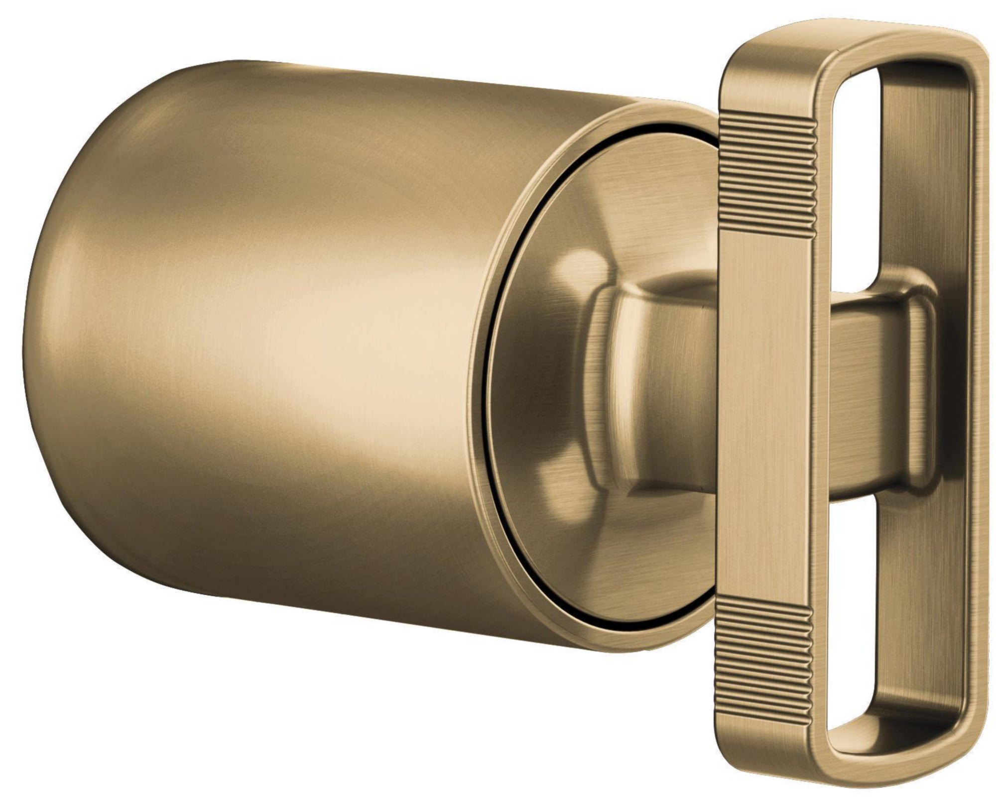 PRESSURE BAL VALVE HANDLE KIT - KNOB