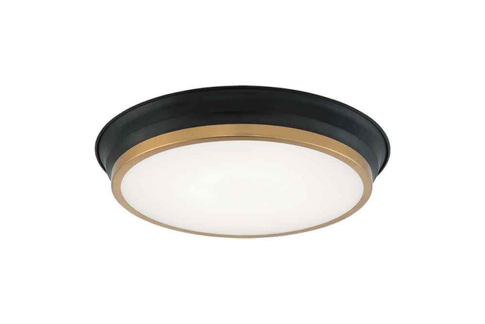 JAXX Ceiling Mount