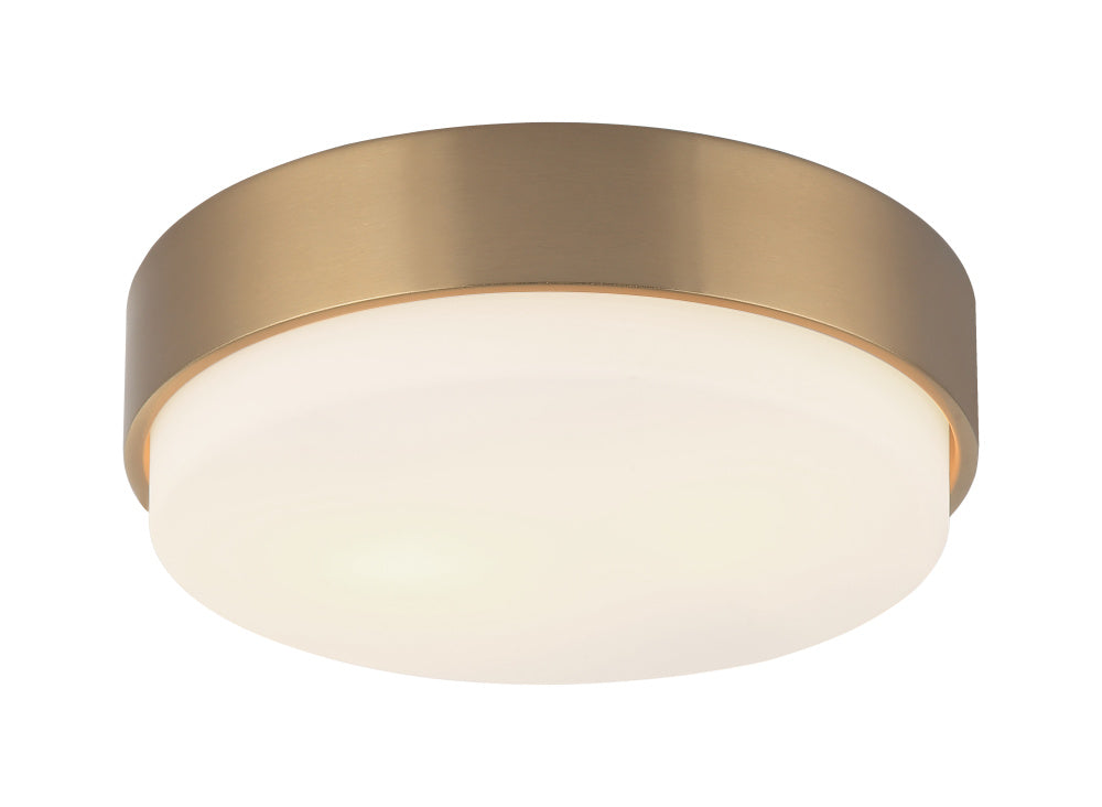 Quintz Ceiling Mount