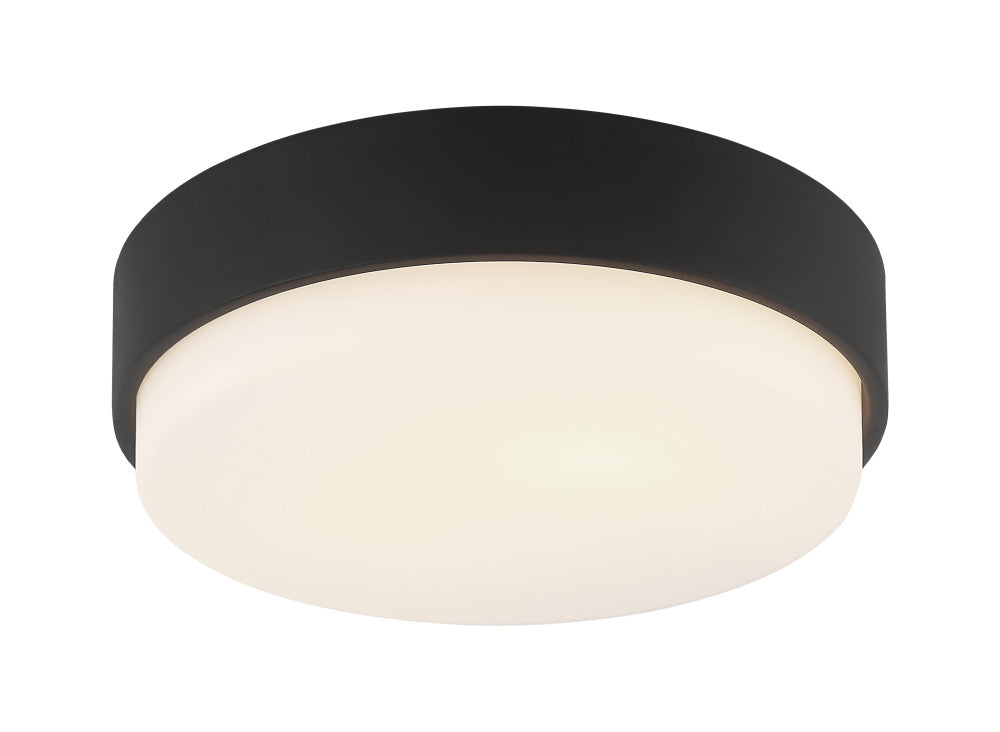 Quintz Ceiling Mount