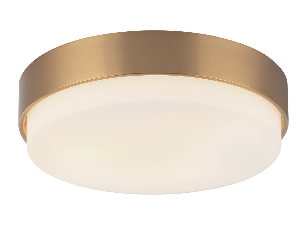 Quintz Ceiling Mount