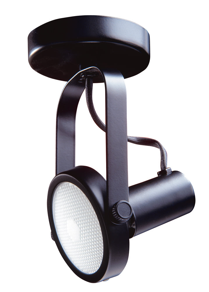 Par 30 Gimbal Monopoint in a Black finish - BLK