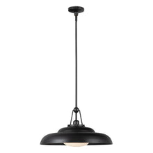 Load image into Gallery viewer, Palmetto Pendants-PD344020 - by Alora Lighting