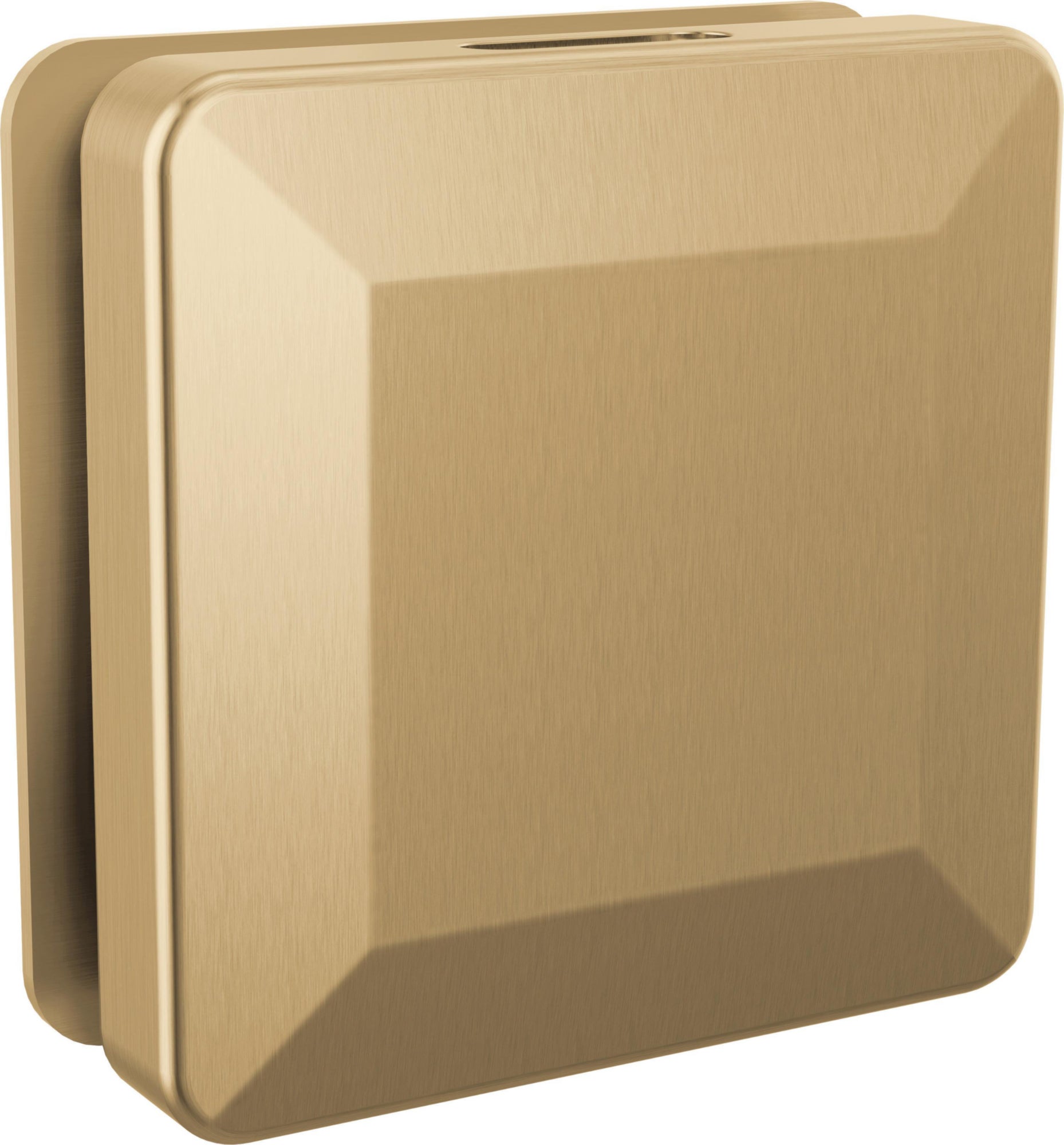 TRANSITIONAL STEAM HEAD CHAMPAGNE BRONZE