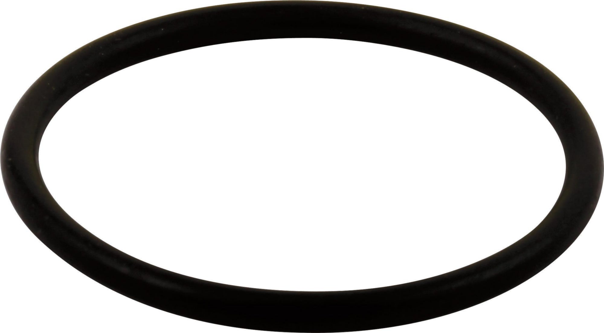D/DS-LG O RING-ALL MONITOR SE