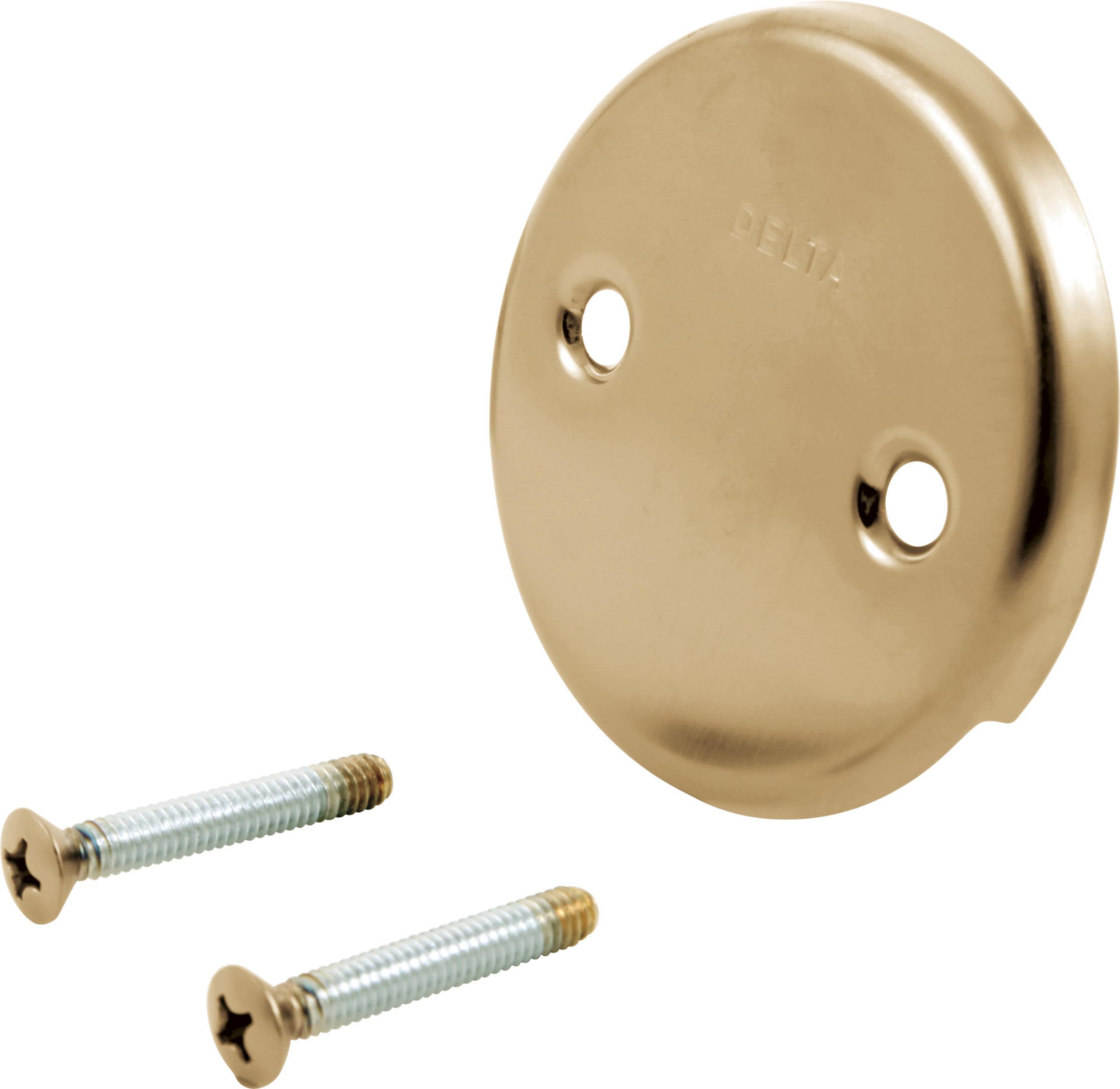 OVERFLOW PLATE AND SCREWS